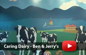 Caring Dairy - Ben & Jerry's